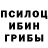 Галлюциногенные грибы Magic Shrooms commanderdonut