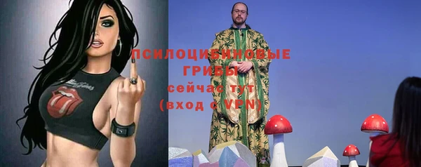спиды Белокуриха