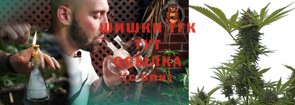 сатива Михайловск