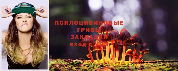 стафф Балахна