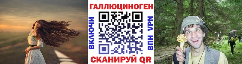 Псилоцибиновые грибы Psilocybine cubensis  что такое наркотик  ОМГ ОМГ   Вуктыл 